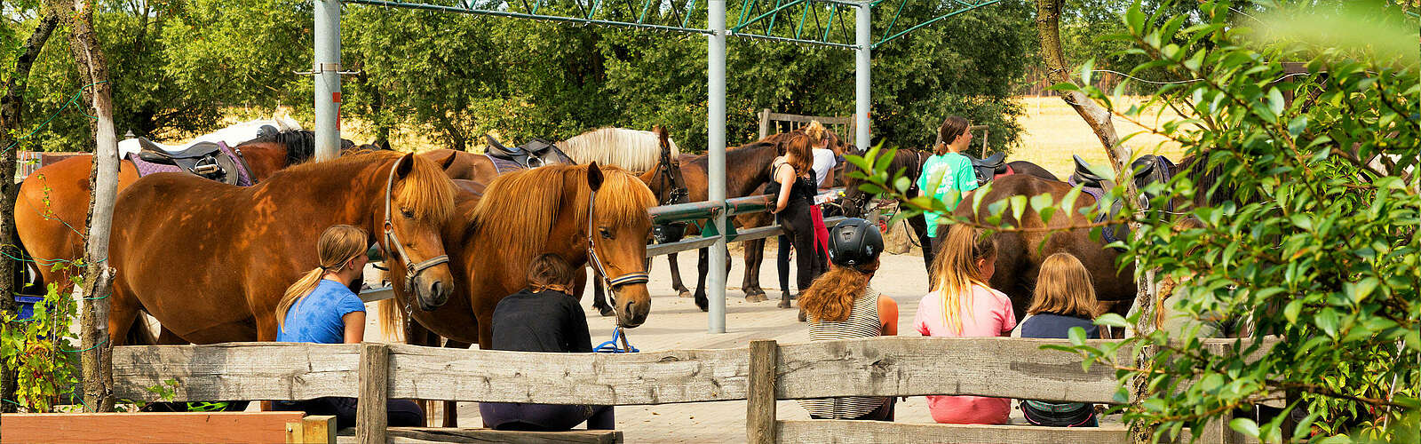 Reiterhof Groß Briesen - Kinder beim Reitunterricht