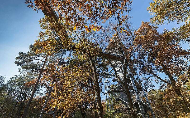 



    
        
                Baum&Zeit Baumkronenpfad,
            
        
                Foto: TMB Tourismus-Marketing Brandenburg GmbH/Steffen Lehmann
            
    
