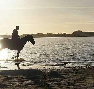 Reiten