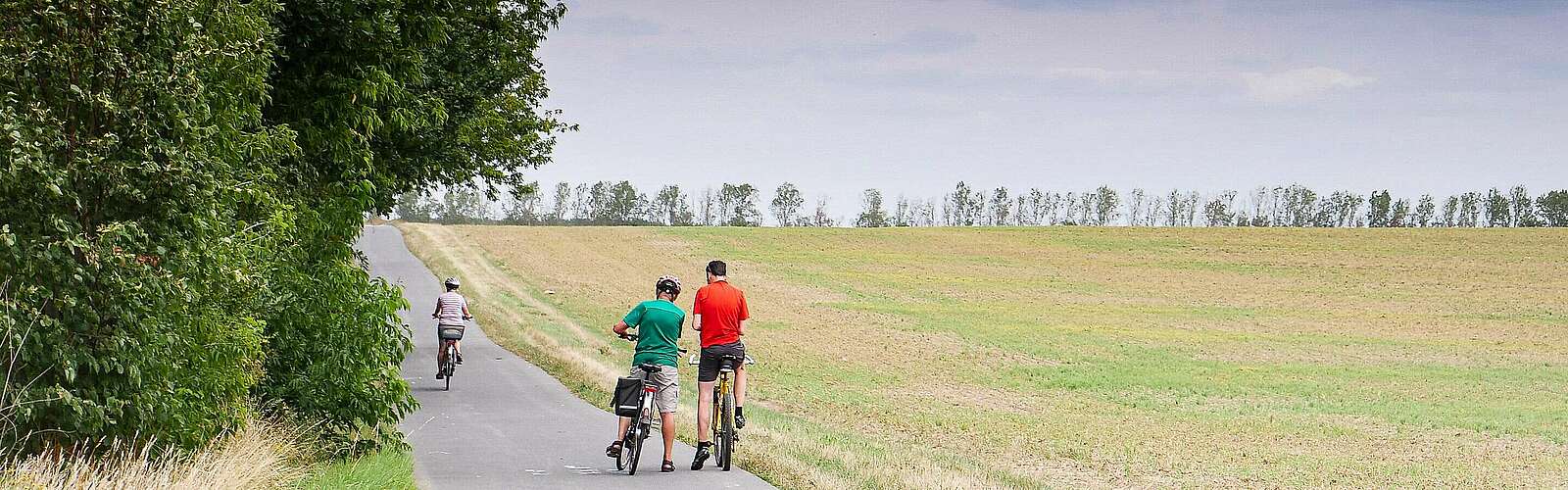 Radwandern im Naturpark Fläming,
            
        
                Foto: Welterberegion/Anja Knorr