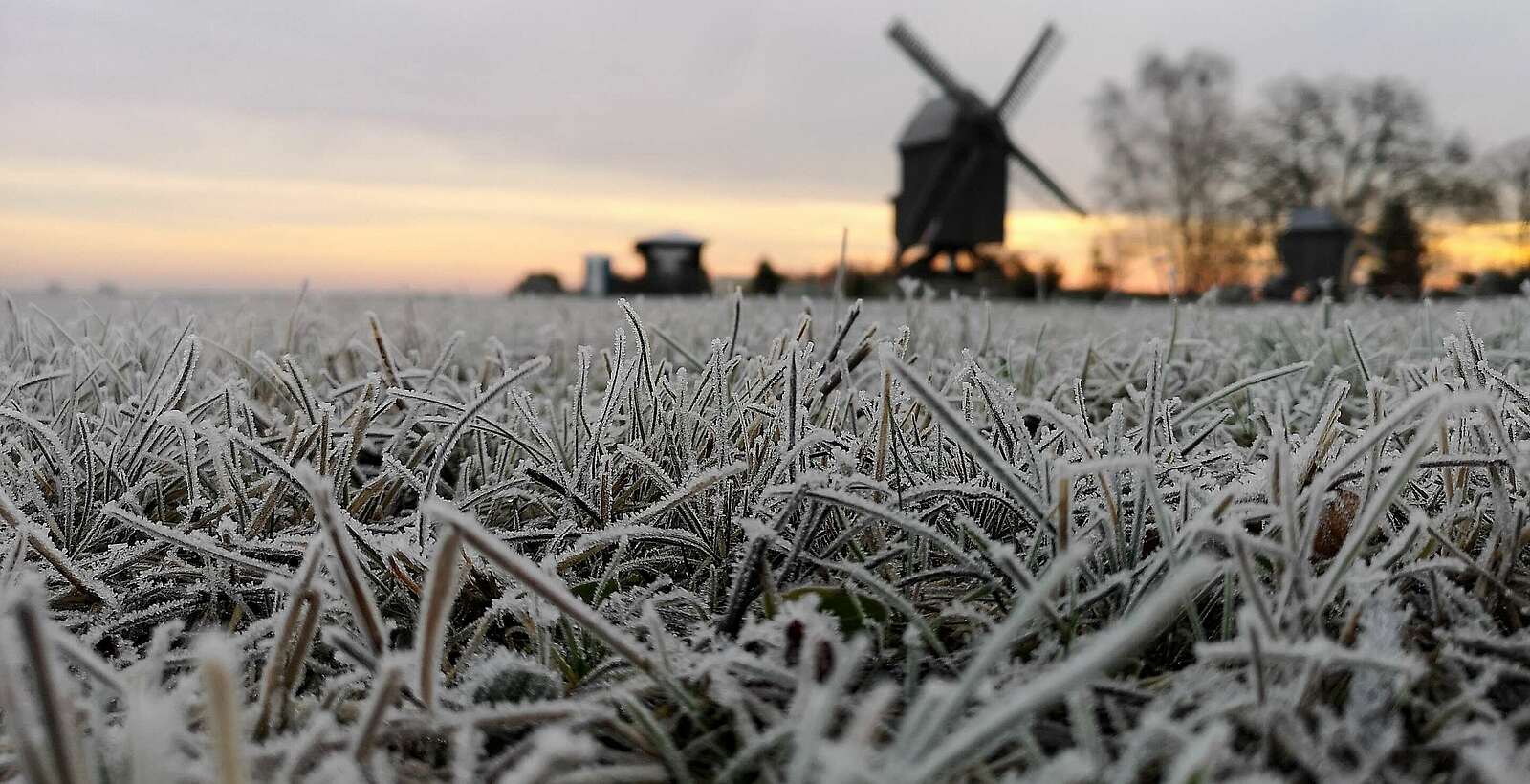 Beelitzer Bockwindmühle mit Raureif,
            
        
                Foto: Tourismusverband Fläming e.V./Catharina Weisser