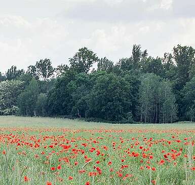 Der Teltow