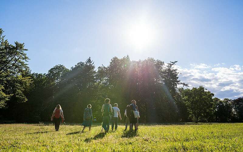 



    
        
                Wanderer am Schlosspark Wiesenburg,
            
        
                Foto: Tourismusverband Fläming e.V./Antje Wickboldt
            
    
