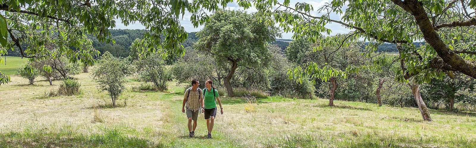 Wanderer im Hohen Fläming,
            
        
                Foto: Tourismusverband Fläming e.V./Jedrzej Marzecki