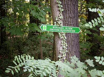 Wanderweg Seddiner See