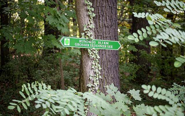 Wanderweg Seddiner See