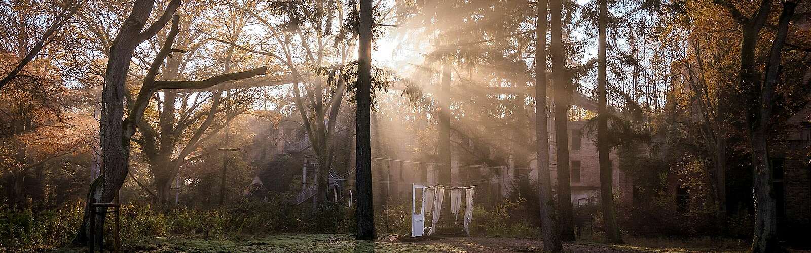 Beelitz Heilstätten Lichtspiel,
            
        
                
                
                    Foto: Kein Urheber bekannt