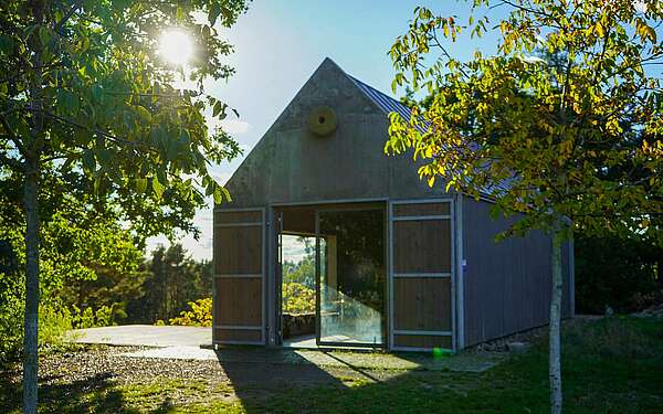 Baruther Weinberg mit Hütte im Gegenlicht