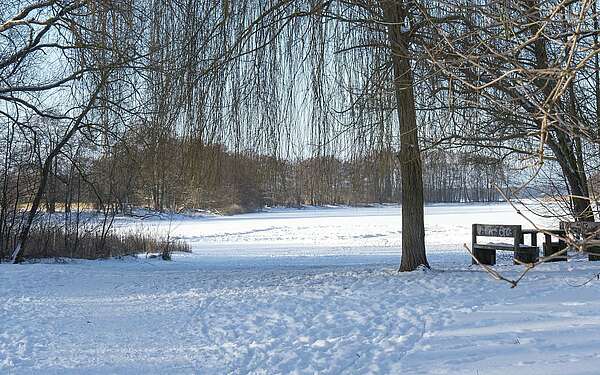 Seddiner See im Winter