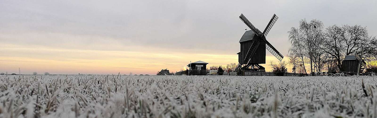 Beelitzer Bockwindmühle mit Raureif,
            
        
                Foto: Tourismusverband Fläming e.V./Catharina Weisser