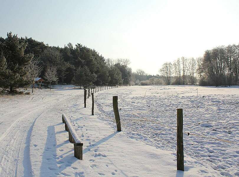 Winterwanderung im Hohen Fläming