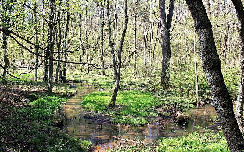 



    
        
                Naturpark Fläming,
            
        
                Foto: Kreativnetzwerk FlämingSchmiede/Katja Benke
            
    
