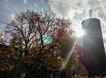 Rund um die Burg Eisenhardt