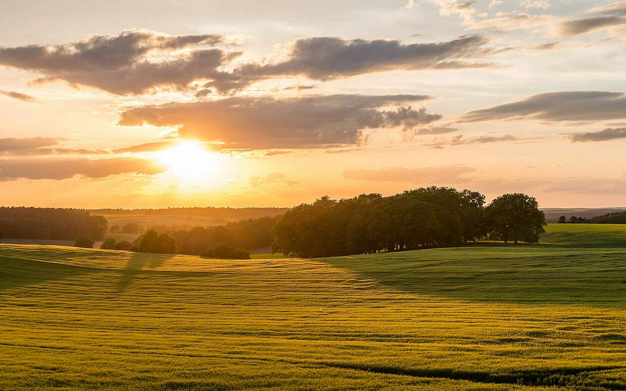 Sonnenuntergang im Fläming