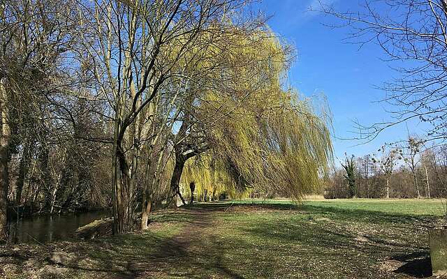 Nieplitz bei Blankensee im Frühling