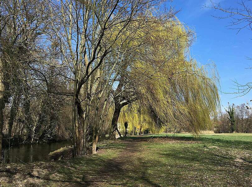 Nieplitz bei Blankensee im Frühling