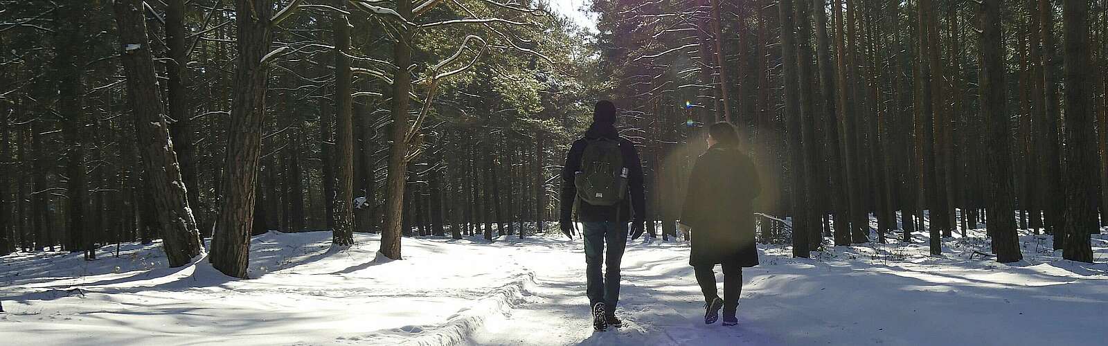 Wanderndes Paar im verschneiten Wald,
            
        
                Foto: Tourismusverband Fläming e.V./Catharina Weisser