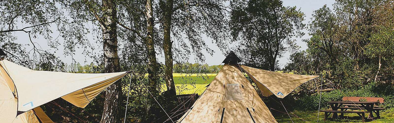 Zelte vor Rapsfeld in Oehna,
        
    

        Foto: Flaeming Camping Oehna/Kein Urheber bekannt