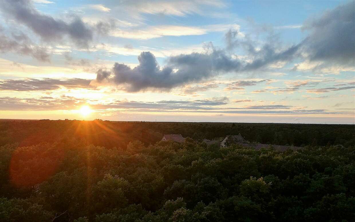 Beelitz-Heilstätten Sonnenuntergang