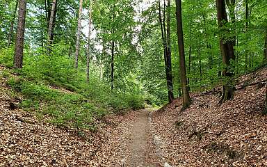 Findlingswanderweg im Hohen Fläming